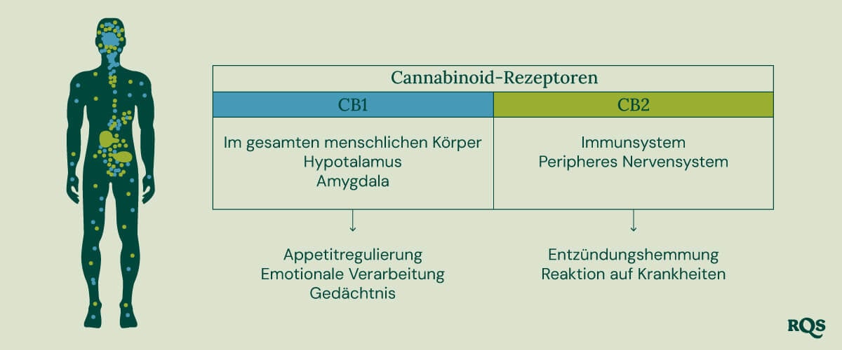 Terpineol Cannabis Terpene Terpineol Cannabis Terpene