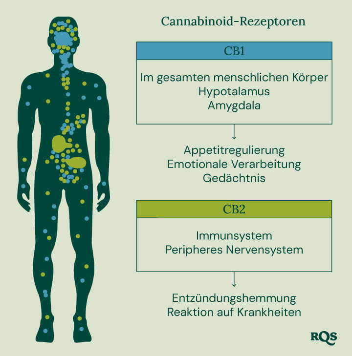 Terpineol Cannabis Terpene Terpineol Cannabis Terpene