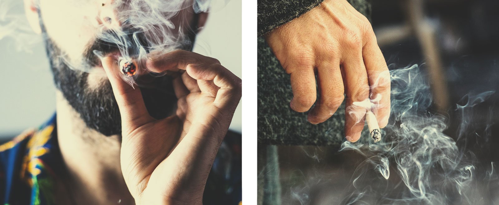 Cannabis- vs. Tabakrauch Cannabis- vs. Tabakrauch