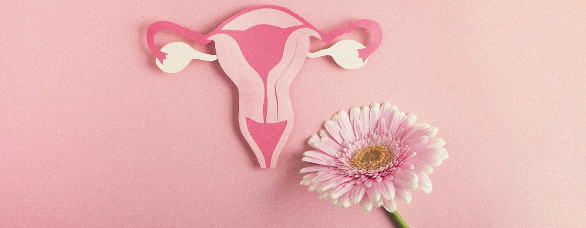 Frauen und Cannabis: Wie es ihren Lebensstil verbessern kann Frauen und Cannabis: Wie es ihren Lebensstil verbessern kann