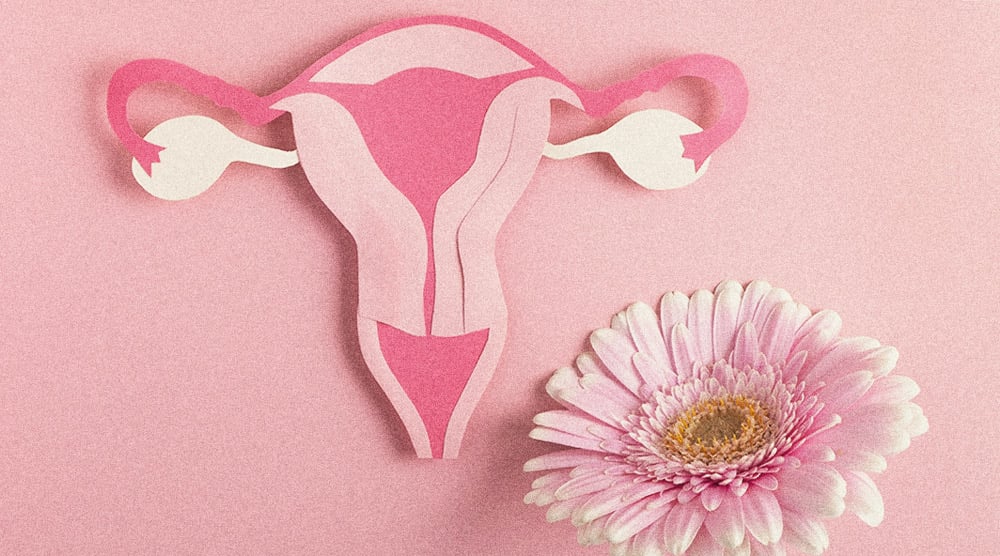 Frauen und Cannabis: Wie es ihren Lebensstil verbessern kann Frauen und Cannabis: Wie es ihren Lebensstil verbessern kann