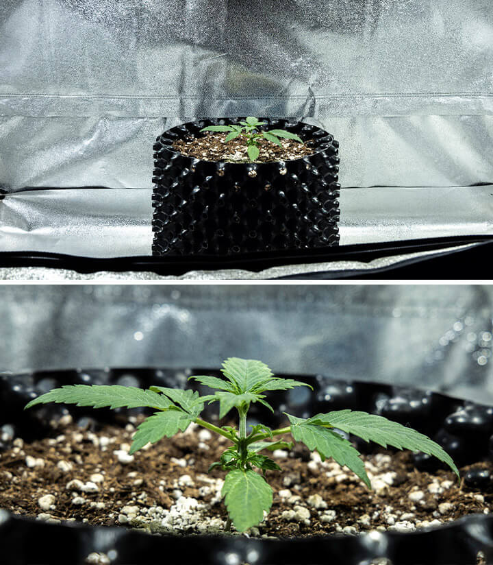 Week 1.2 Week 1.2